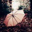 Những bài thơ hay về chiếc ô dù rất tình cảm và lãng mạn